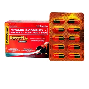 BEXAN CAPSULE (100 CAPSULE)