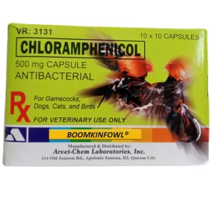 CHLORAMPHENICOL 500MG (100 CAPSULE)