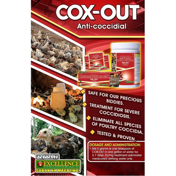 Cox-Out 5G