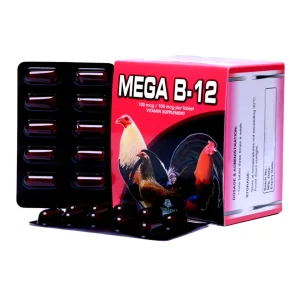 MEGA B12 (100 TABLET)