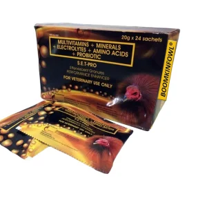 Set Pro 20G