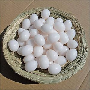 Ginn Grey Toppy Hatching Eggs